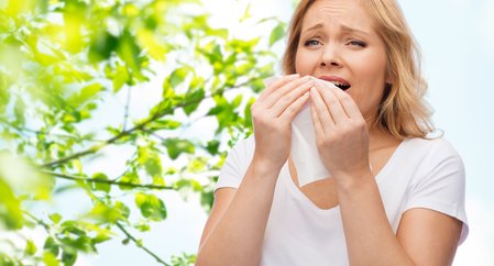 Heuschnupfen Allergie
